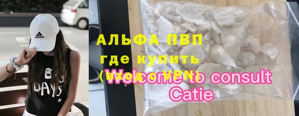 шишки Богородицк