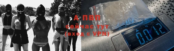 шишки Богородицк