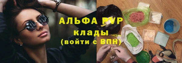 шишки Богородицк