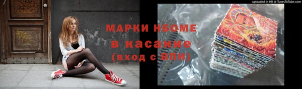 шишки Богородицк
