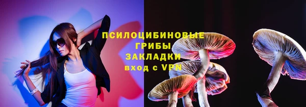 шишки Богородицк