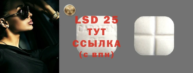шишки Богородицк