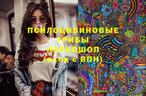 шишки Богородицк