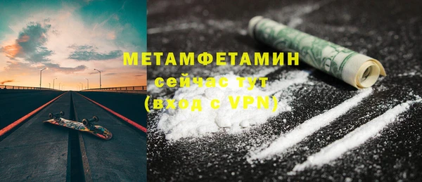 шишки Богородицк