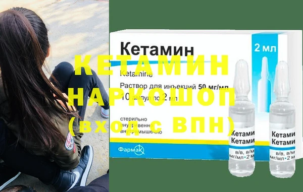 шишки Богородицк
