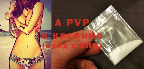 шишки Богородицк