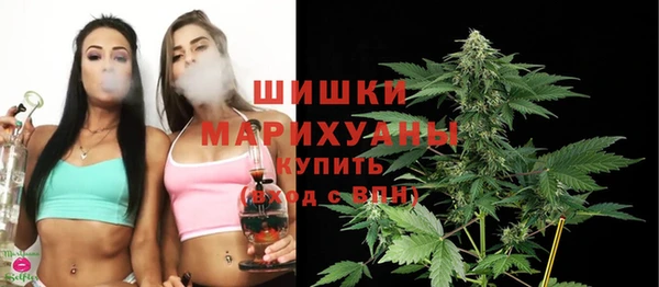 хмурый Богородск