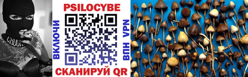 Псилоцибиновые грибы мицелий  Онега 